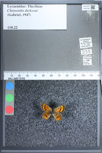 Media type: image;   Entomology 67399